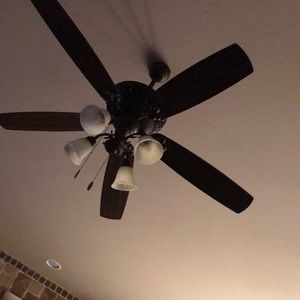 Meet your Posher, Paul